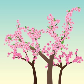 櫻花櫻花樹；花；午餐；蔚藍(lán)的天空；春天的背景；圖