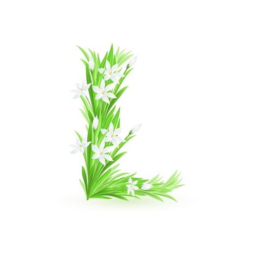 一封春天的花