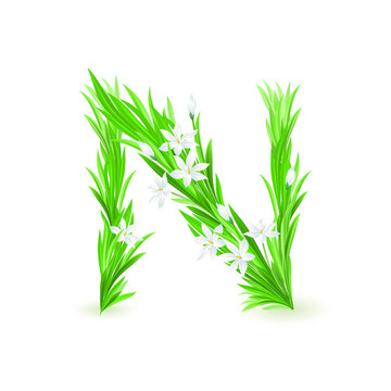 一封春天的花
