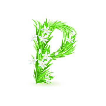 一封春天的花