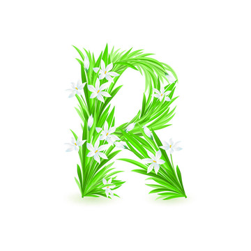 一封春天的花