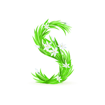 一封春天的花