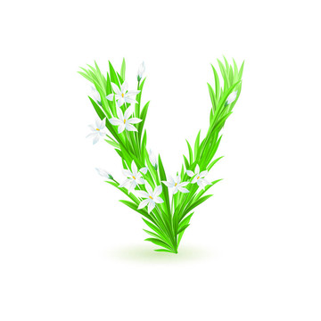 一封春天的花