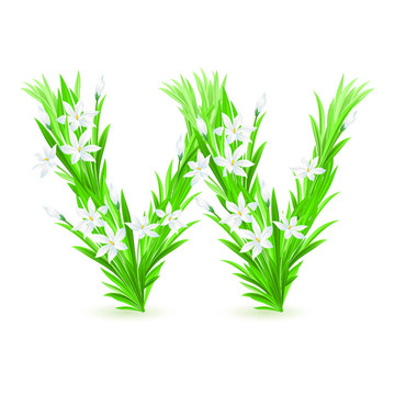 一封春天的花