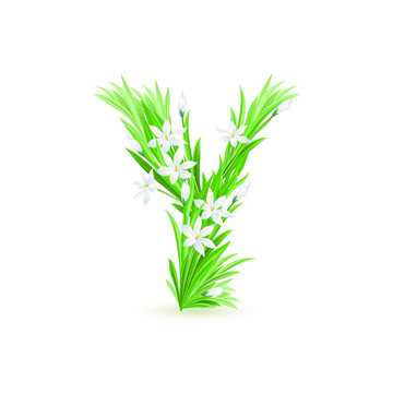 一封春天的花