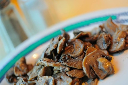 經驗豐富的棕色蘑菇
