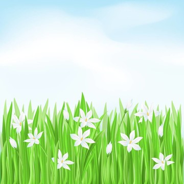 白花綠草