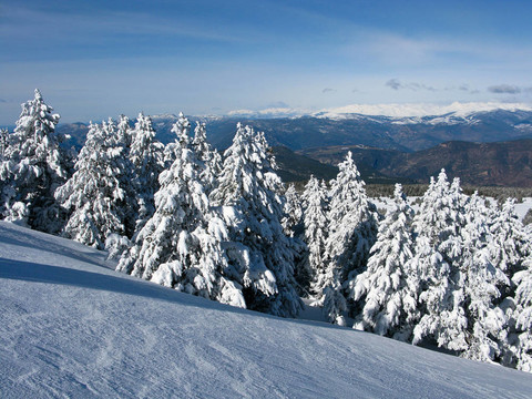林海雪原