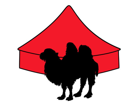 Bactrian Camel在馬戲團(tuán)