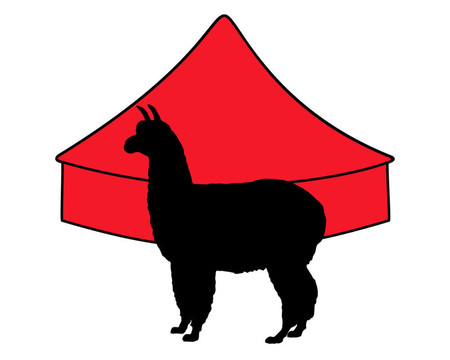 羊駝在馬戲團(tuán)