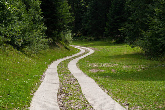 美麗的鄉(xiāng)間小路，沿著山上的Trentino森林