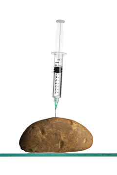 在土豆里卡住的注射器