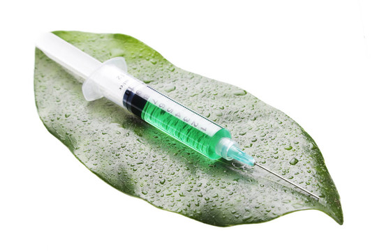 葉子上的注射器