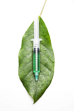 葉子上的注射器