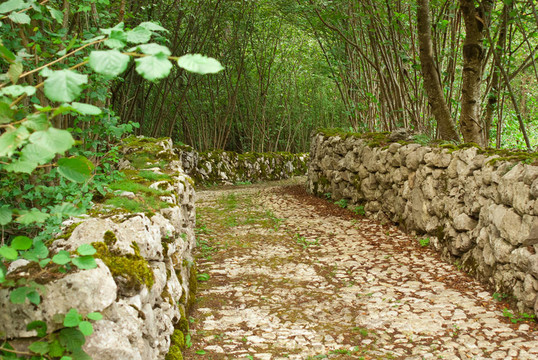 鄉(xiāng)村路