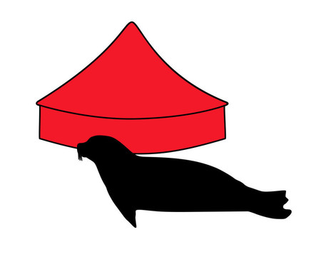 海豹在馬戲團