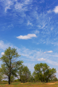 春天的天空