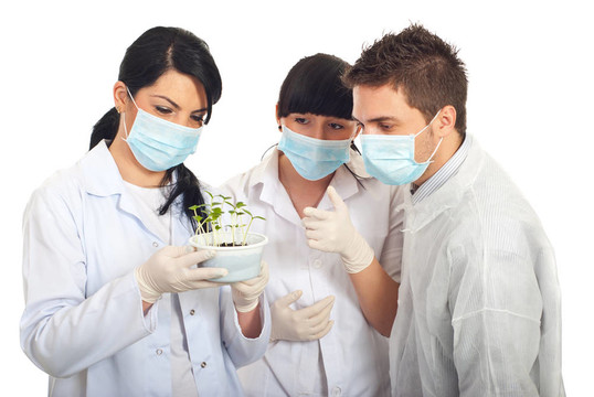 科學(xué)家研究土壤中的新植物