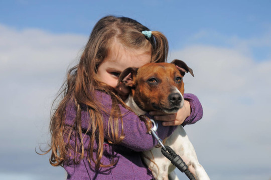 jack russel terrier和孩子