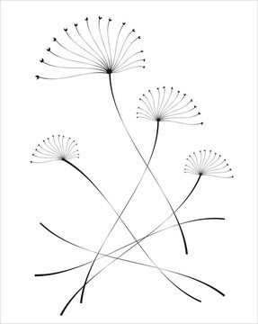 花集