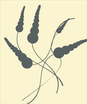 花集