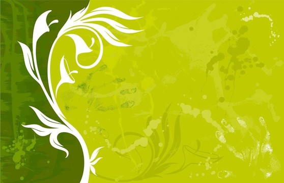 背景與抽象的花