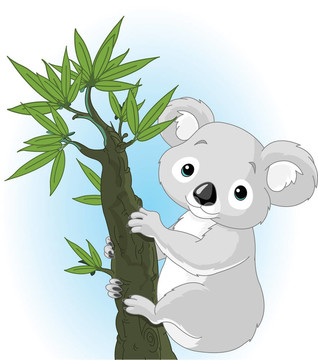 樹上可愛的考拉