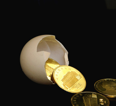 金幣 蛋殼