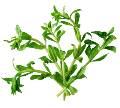 水稻草