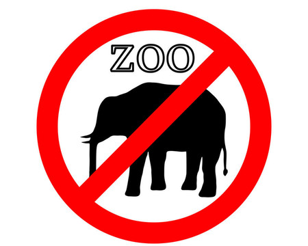動物園里禁止大象