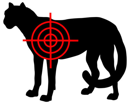 獵豹十字