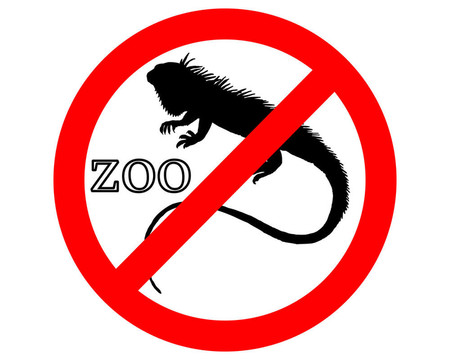 鬣蜥在動物園禁止