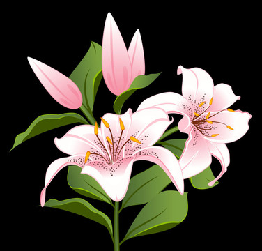 背景與美麗的花朵