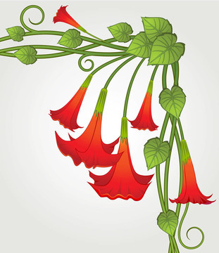 背景與美麗的花朵