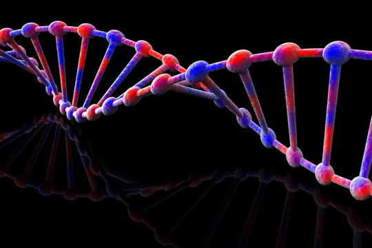 DNA