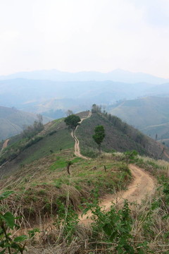頂部步道