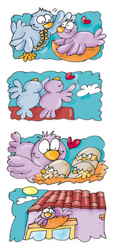 愛情鳥；