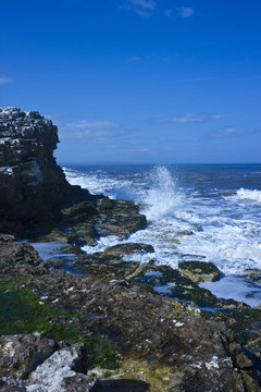 海岸