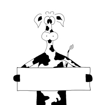 牛的插圖