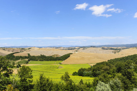 Val d Orcia（托斯卡納）景觀