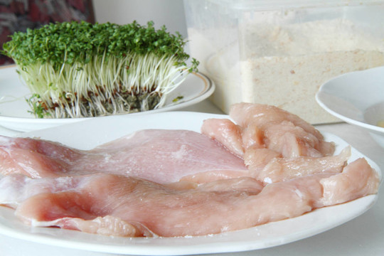 生雞肉