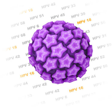 人乳頭瘤病毒（HPV）