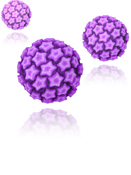 人乳頭瘤病毒（HPV）