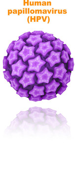 人乳頭瘤病毒（HPV）。