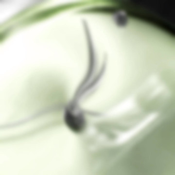 藍(lán)色手表。