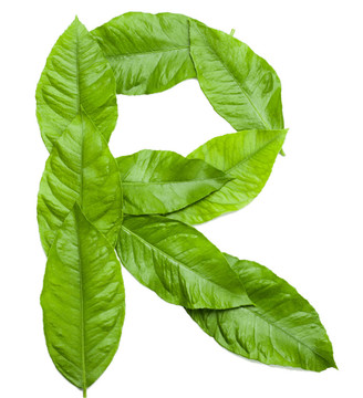 白色字母