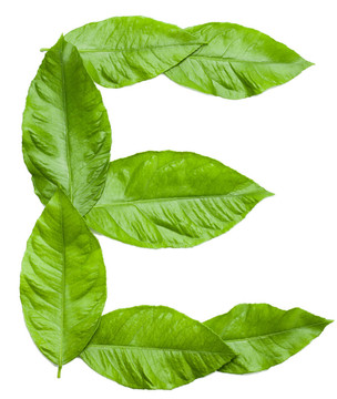 白色字母E