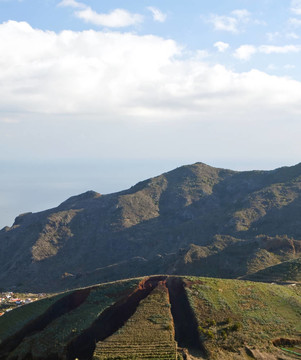 山
