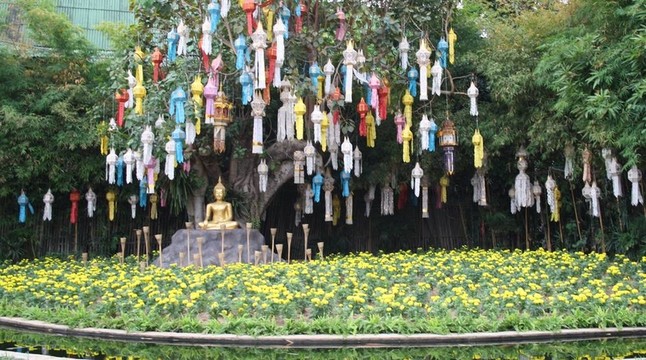 美瀚歌-泰倫迪亞