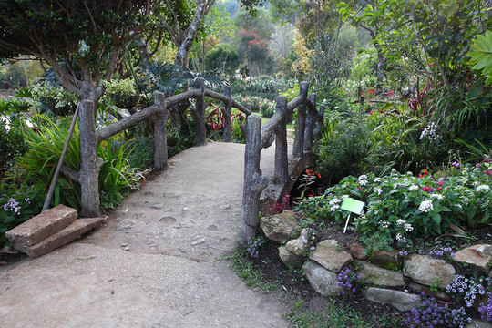 花園小徑石橋。